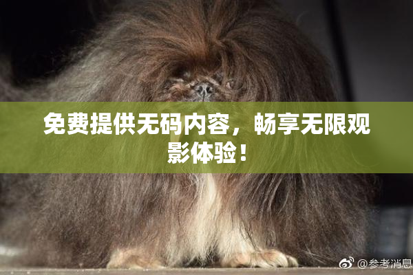 免费提供无码内容，畅享无限观影体验！