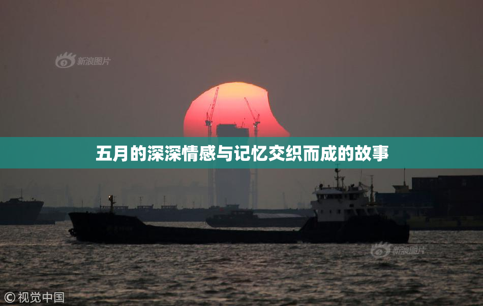 五月的深深情感与记忆交织而成的故事
