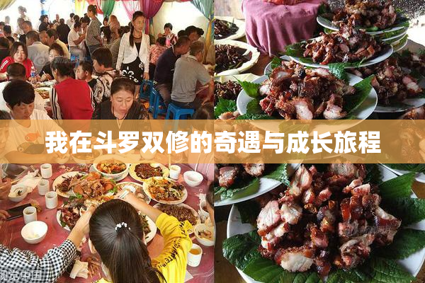 我在斗罗双修的奇遇与成长旅程