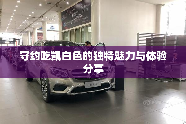 守约吃凯白色的独特魅力与体验分享