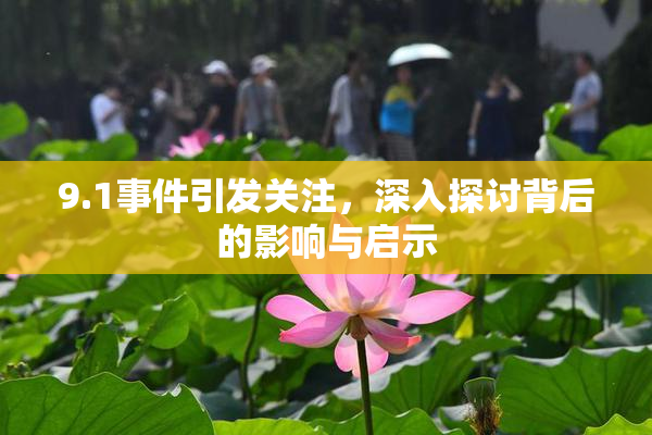 9.1事件引发关注，深入探讨背后的影响与启示