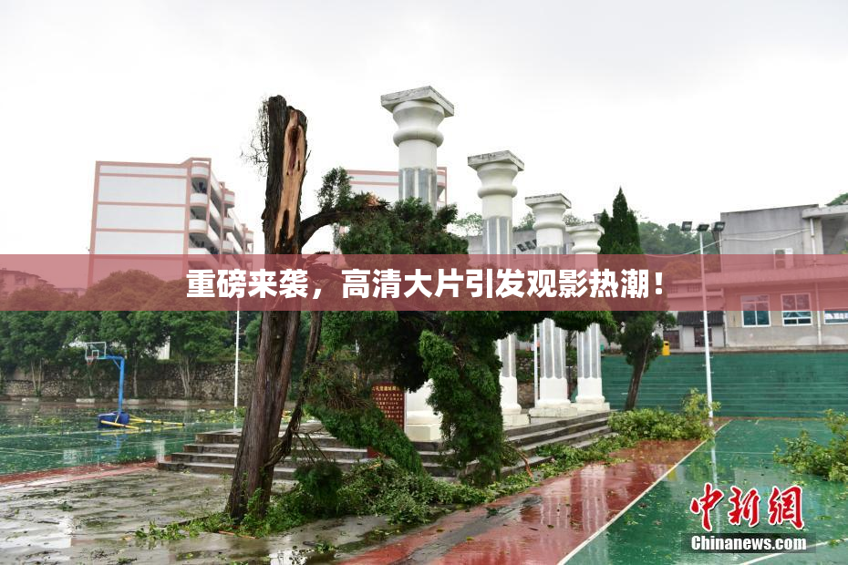 重磅来袭，高清大片引发观影热潮！