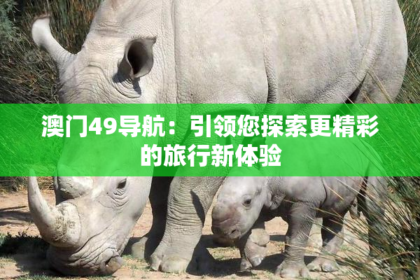 澳门49导航：引领您探索更精彩的旅行新体验