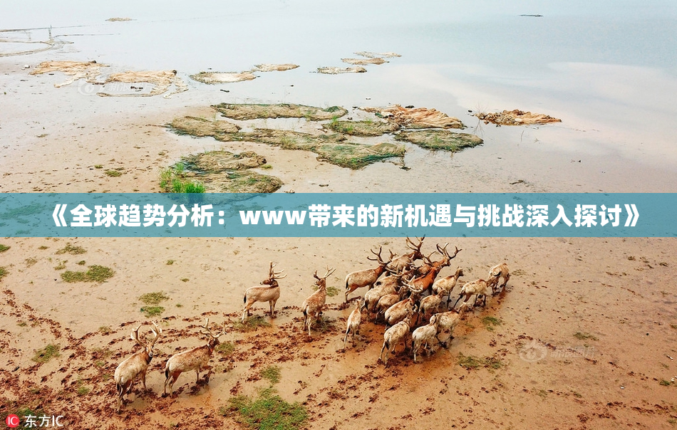 《全球趋势分析：www带来的新机遇与挑战深入探讨》