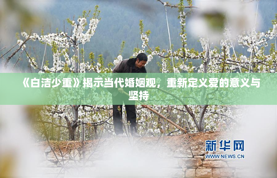 《白洁少重》揭示当代婚姻观，重新定义爱的意义与坚持