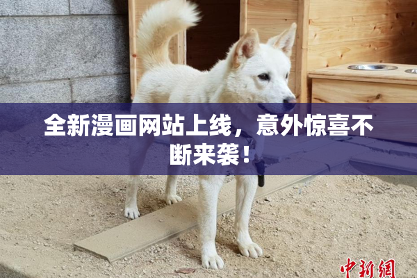 全新漫画网站上线，意外惊喜不断来袭！