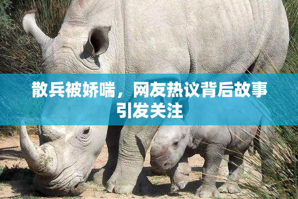 散兵被娇喘，网友热议背后故事引发关注