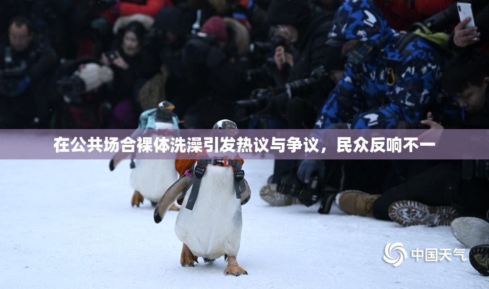 在公共场合裸体洗澡引发热议与争议，民众反响不一