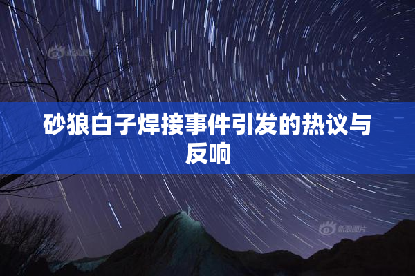 砂狼白子焊接事件引发的热议与反响
