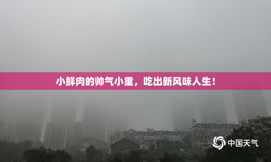 小鲜肉的帅气小重，吃出新风味人生！