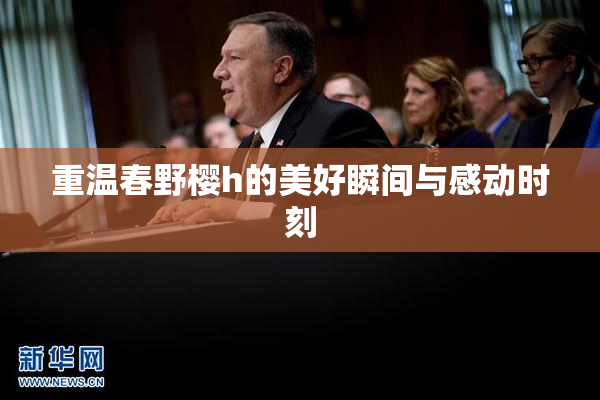 重温春野樱h的美好瞬间与感动时刻
