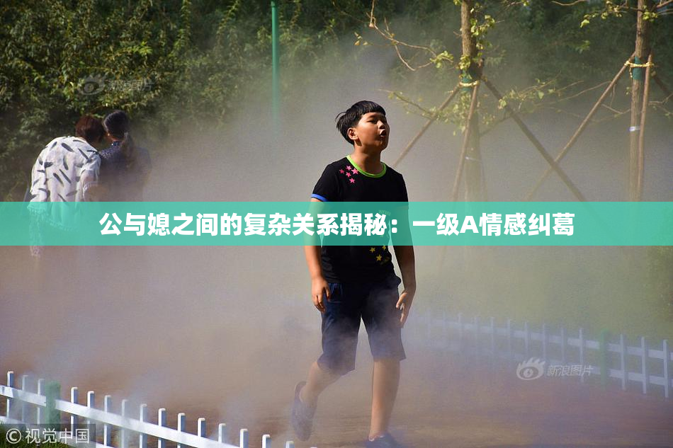 公与媳之间的复杂关系揭秘：一级A情感纠葛