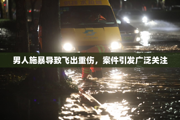 男人施暴导致飞出重伤，案件引发广泛关注