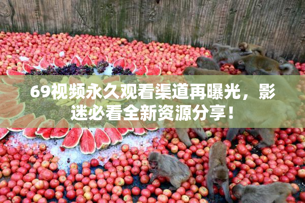 69视频永久观看渠道再曝光，影迷必看全新资源分享！