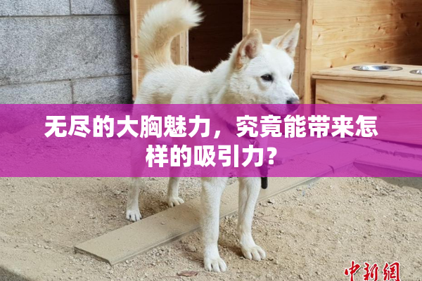 无尽的大胸魅力，究竟能带来怎样的吸引力？