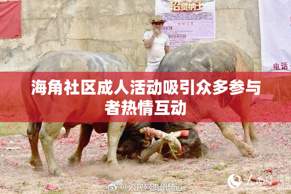 海角社区成人活动吸引众多参与者热情互动