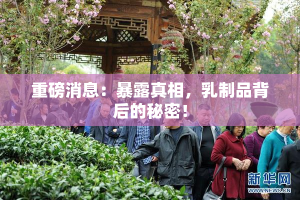 重磅消息：暴露真相，乳制品背后的秘密！