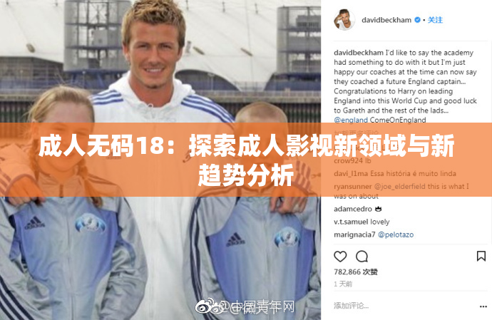 成人无码18：探索成人影视新领域与新趋势分析