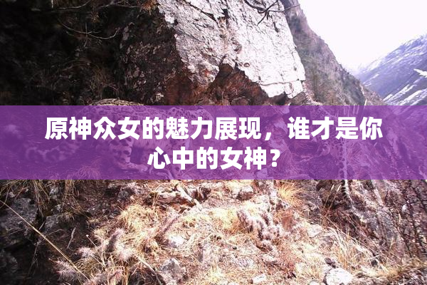 原神众女的魅力展现，谁才是你心中的女神？