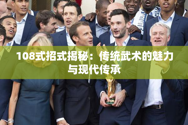 108式招式揭秘：传统武术的魅力与现代传承