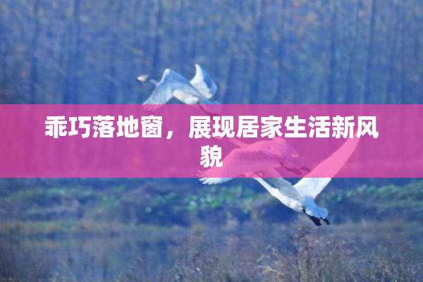 乖巧落地窗，展现居家生活新风貌