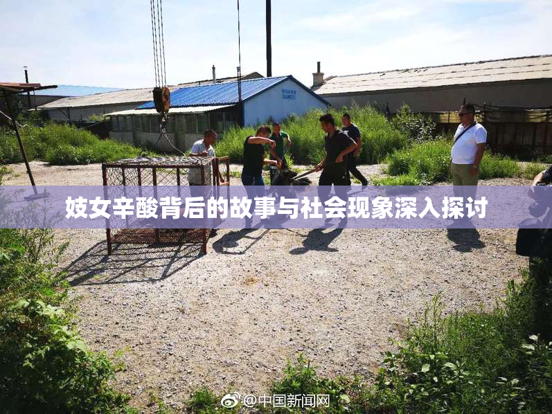 妓女辛酸背后的故事与社会现象深入探讨