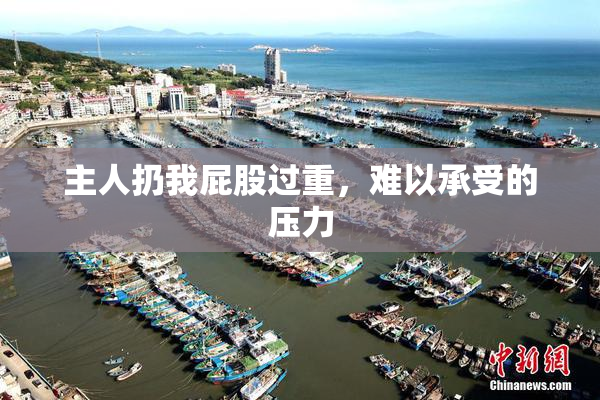 主人扔我屁股过重，难以承受的压力