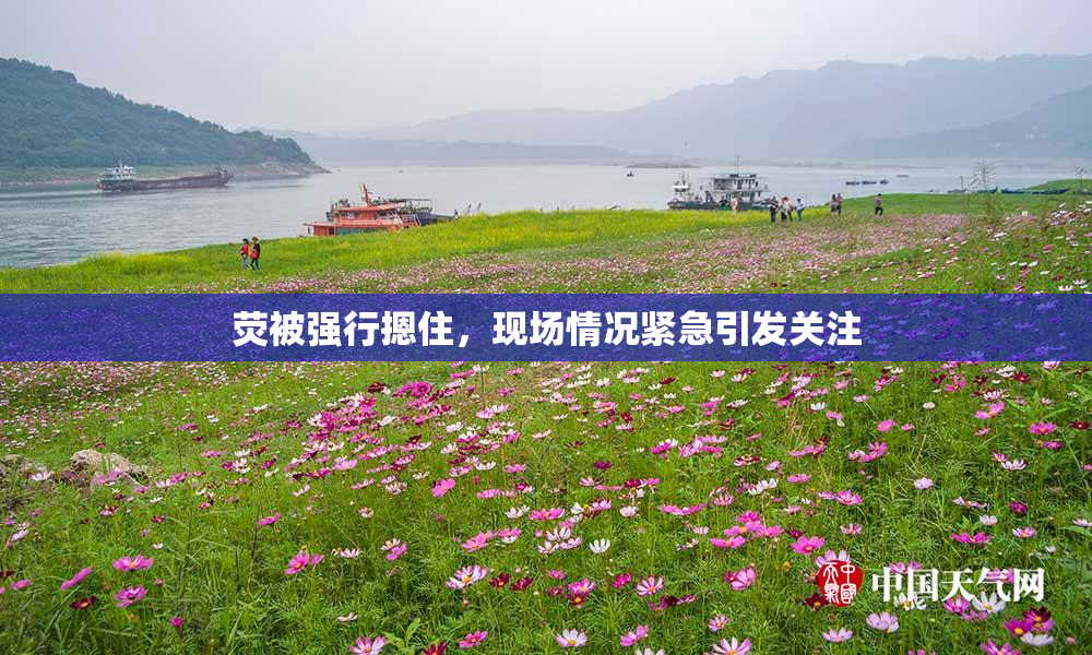 荧被强行摁住，现场情况紧急引发关注