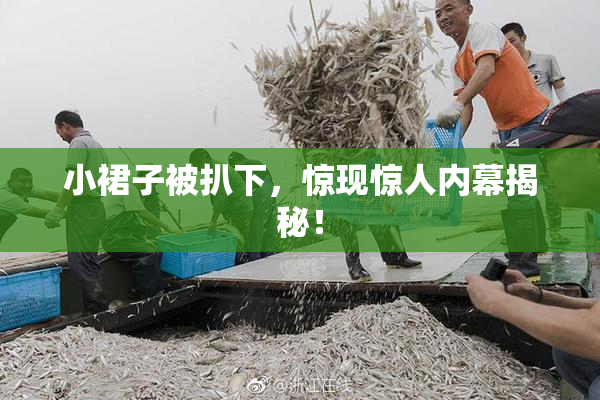 小裙子被扒下，惊现惊人内幕揭秘！