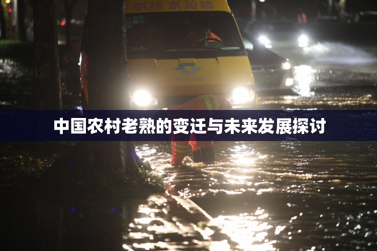 中国农村老熟的变迁与未来发展探讨