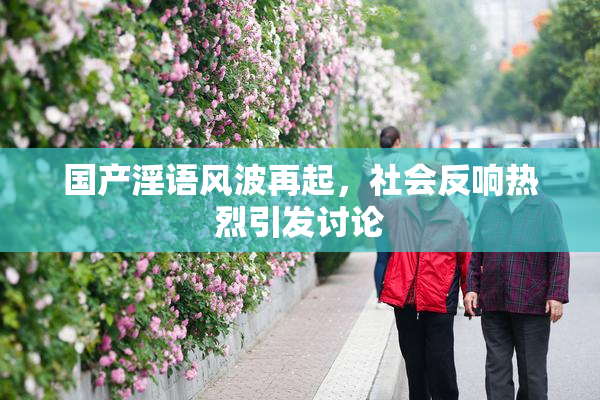 国产淫语风波再起，社会反响热烈引发讨论