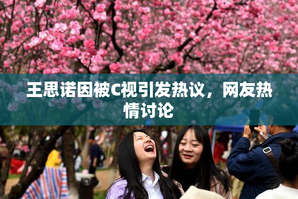 王思诺因被C视引发热议，网友热情讨论