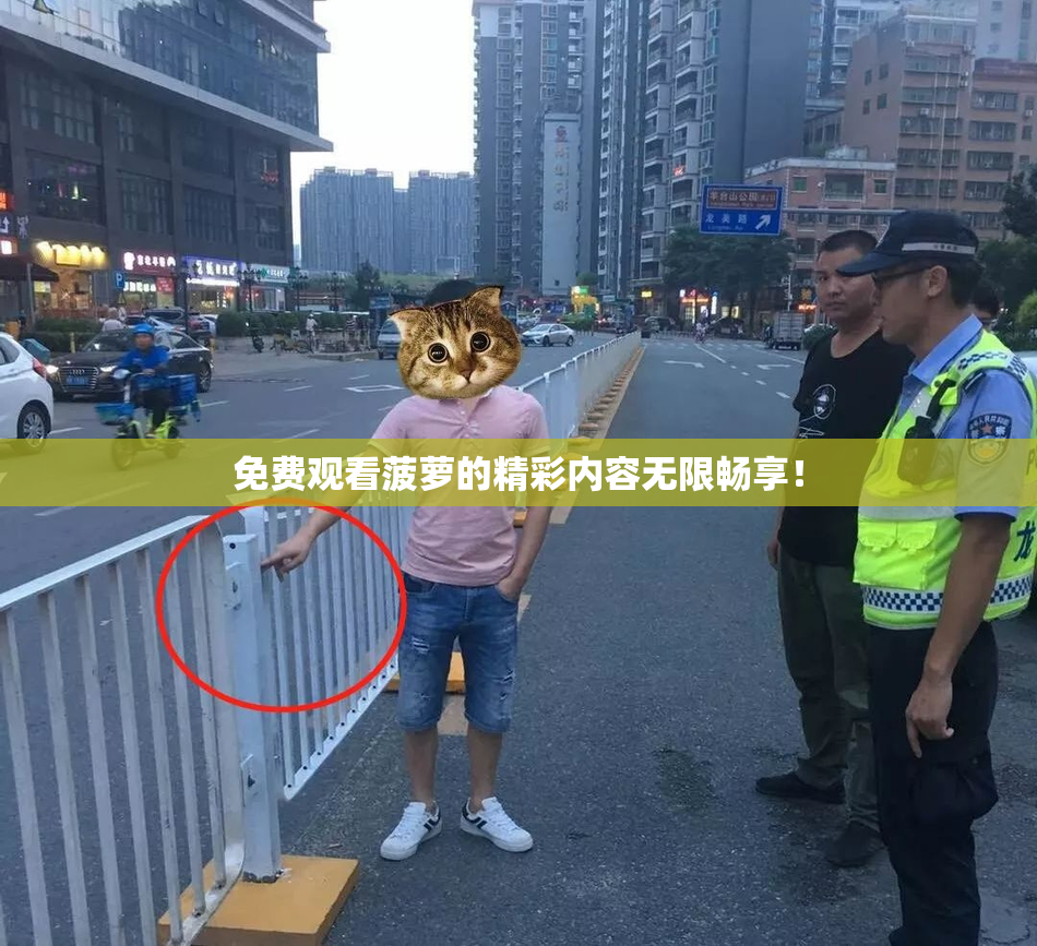 免费观看菠萝的精彩内容无限畅享！