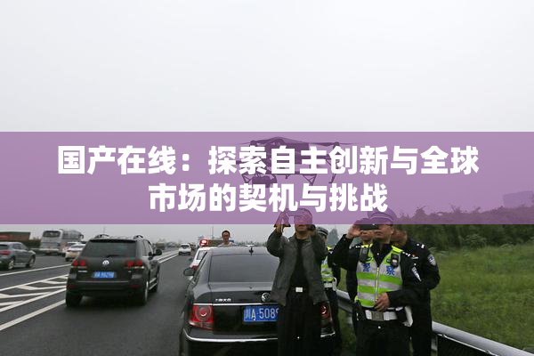 国产在线：探索自主创新与全球市场的契机与挑战
