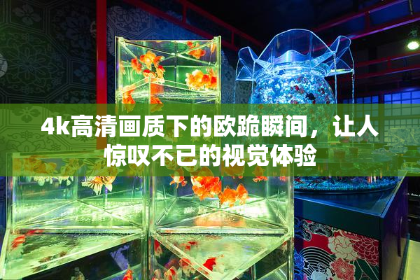 4k高清画质下的欧跪瞬间，让人惊叹不已的视觉体验