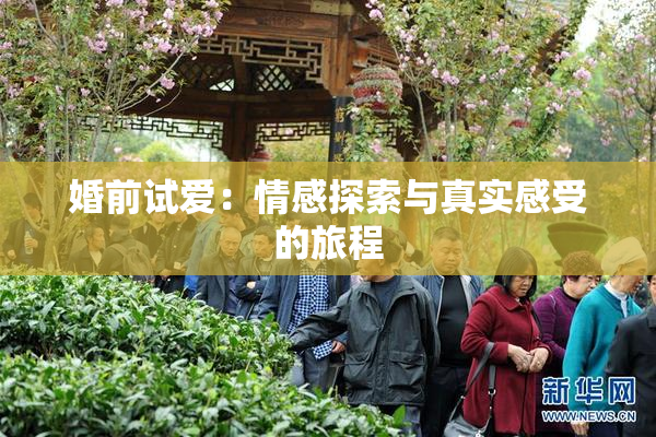 婚前试爱：情感探索与真实感受的旅程