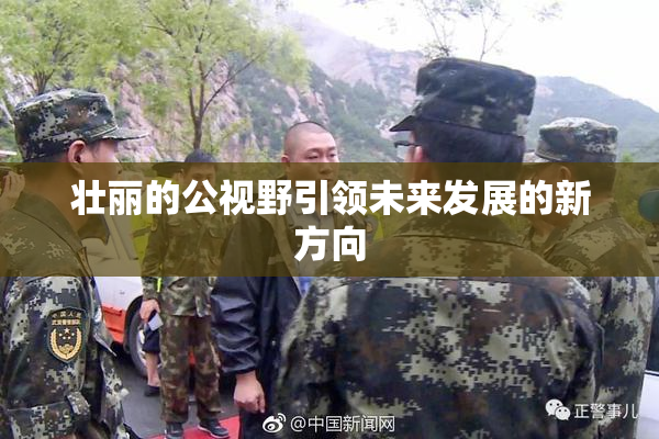 壮丽的公视野引领未来发展的新方向
