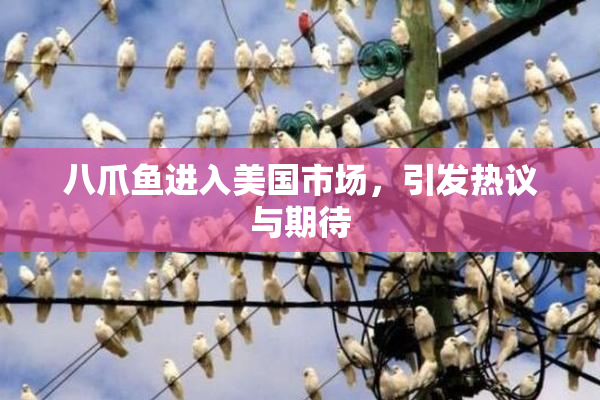 八爪鱼进入美国市场，引发热议与期待