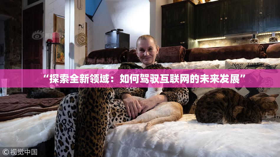 “探索全新领域：如何驾驭互联网的未来发展”