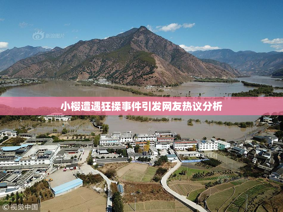 小樱遭遇狂揉事件引发网友热议分析