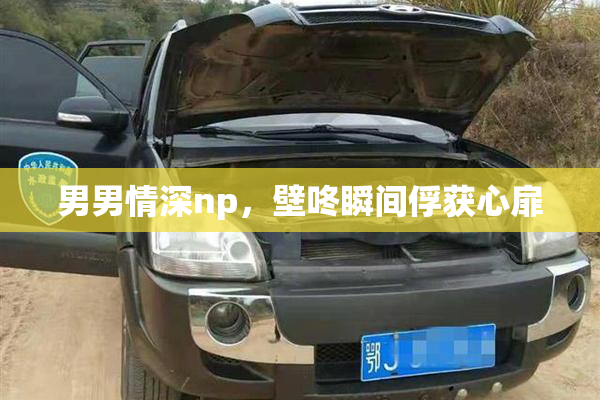 男男情深np，壁咚瞬间俘获心扉