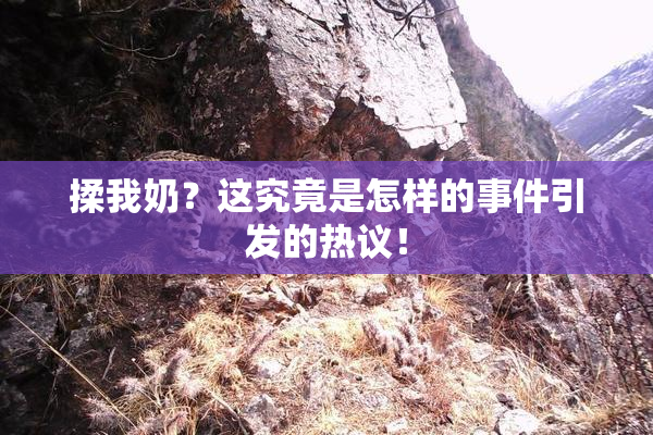 揉我奶？这究竟是怎样的事件引发的热议！
