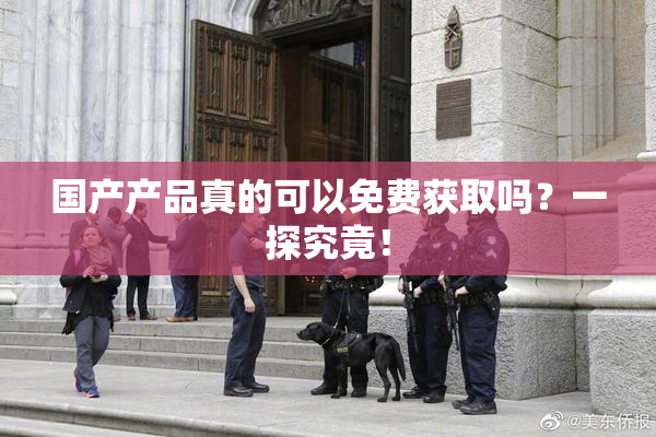 国产产品真的可以免费获取吗？一探究竟！