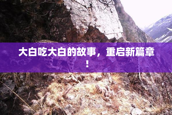 大白吃大白的故事，重启新篇章！
