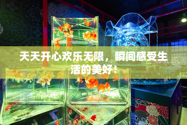 天天开心欢乐无限，瞬间感受生活的美好！