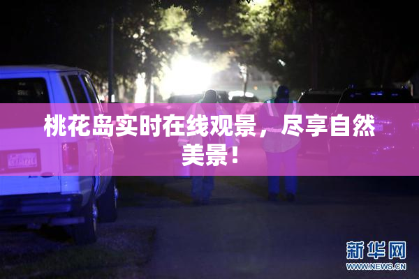 桃花岛实时在线观景，尽享自然美景！