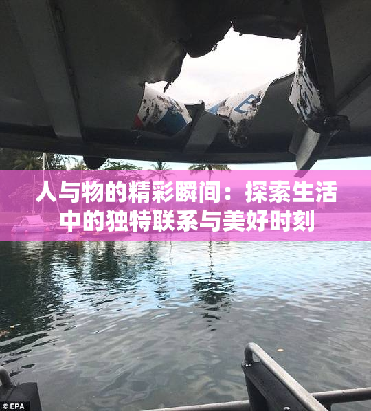 人与物的精彩瞬间：探索生活中的独特联系与美好时刻