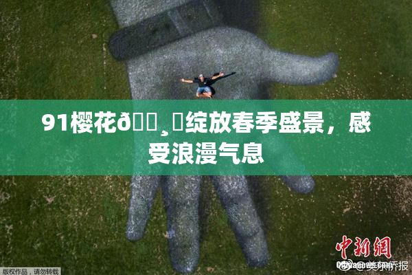 91樱花🌸‌绽放春季盛景，感受浪漫气息