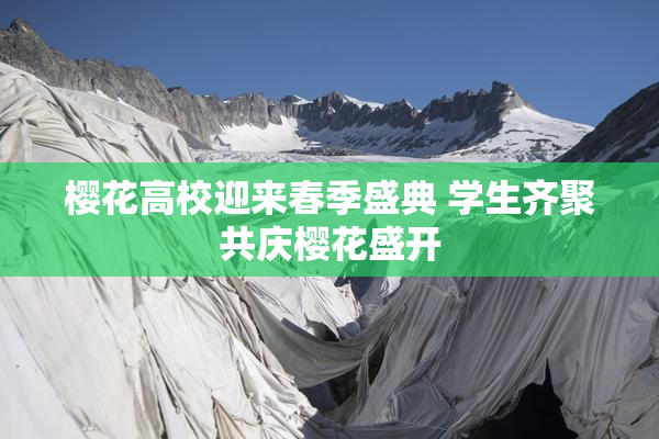 樱花高校迎来春季盛典 学生齐聚共庆樱花盛开