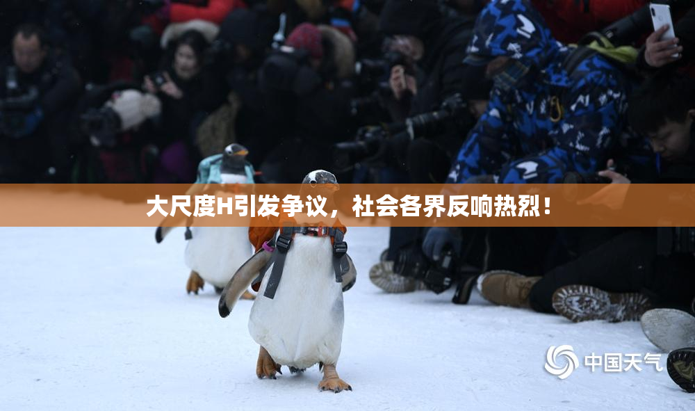 大尺度H引发争议，社会各界反响热烈！